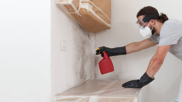 Professional Basement Mold Remediation technician working in Palmetto, GA