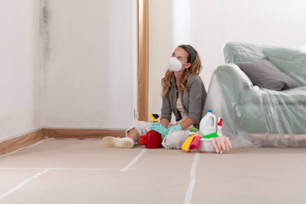 Reliable Basement Mold Remediation contractor in Palmetto, GA by Mold Remediation HQ